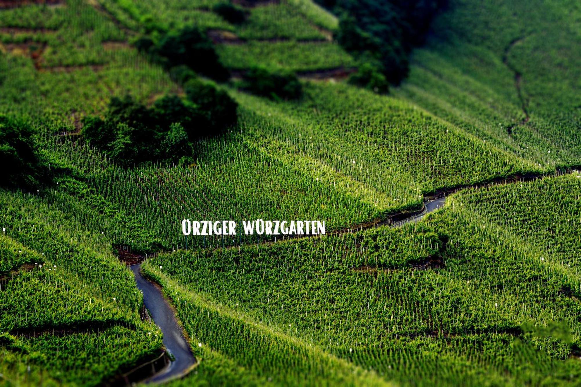 Apartment Weingut Dr Hermann I Erden Zewnętrze zdjęcie